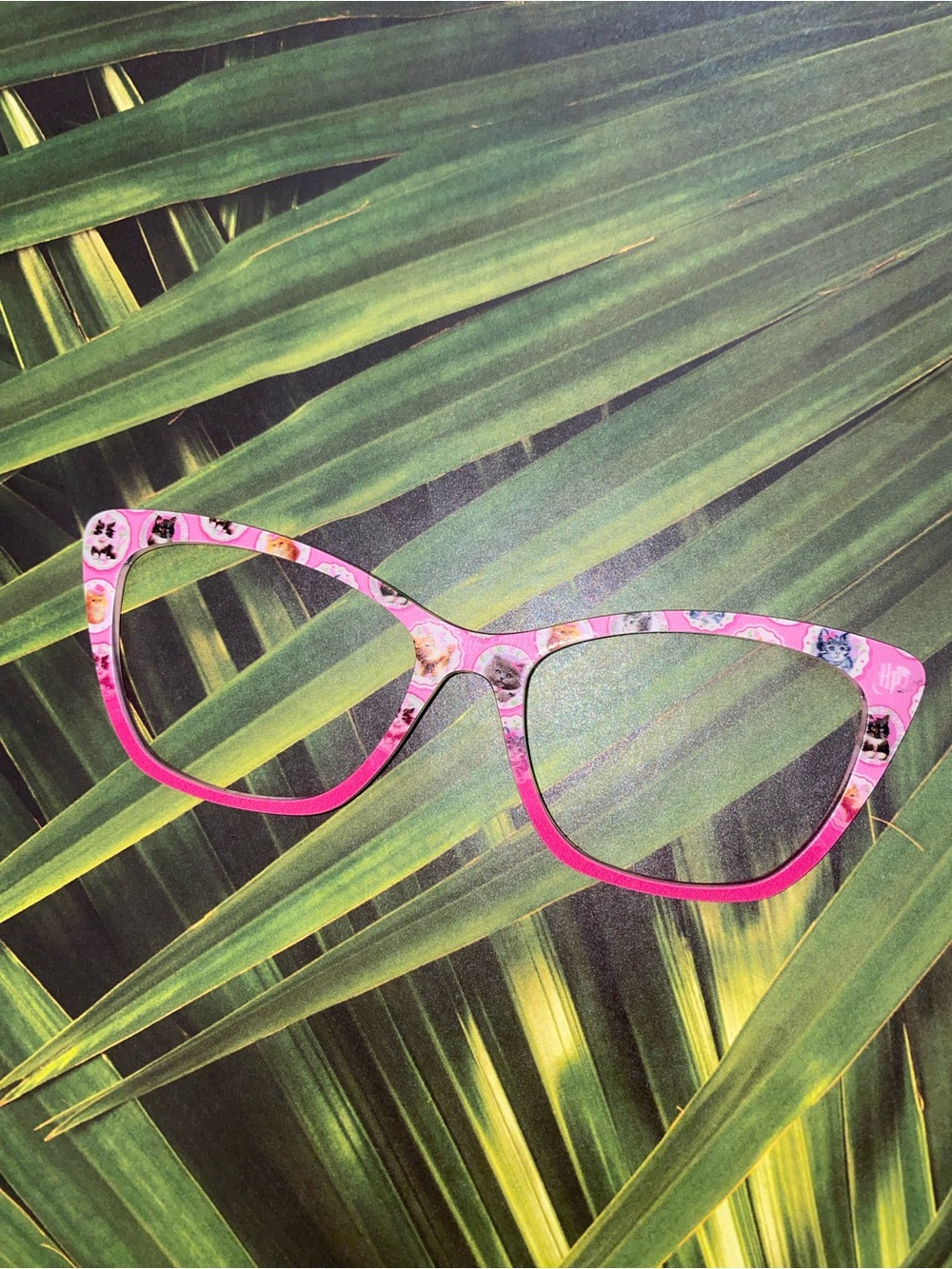 Pair Eyewear WANDA eyeglass toppers Harry Potter Dolores umbridge cats